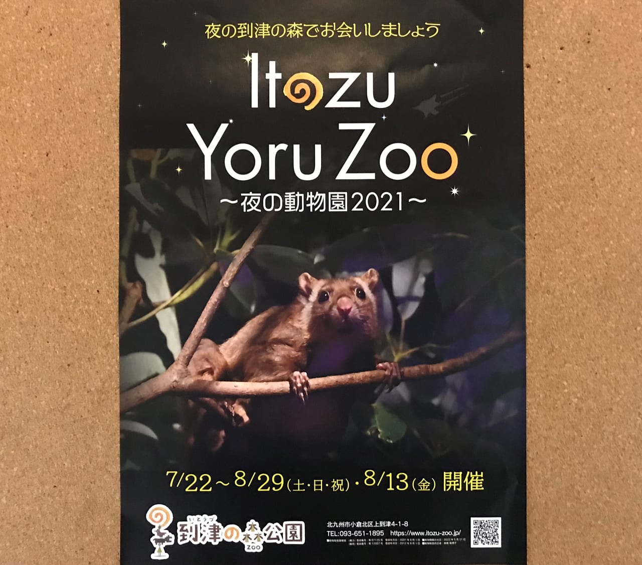 夜の動物園2021