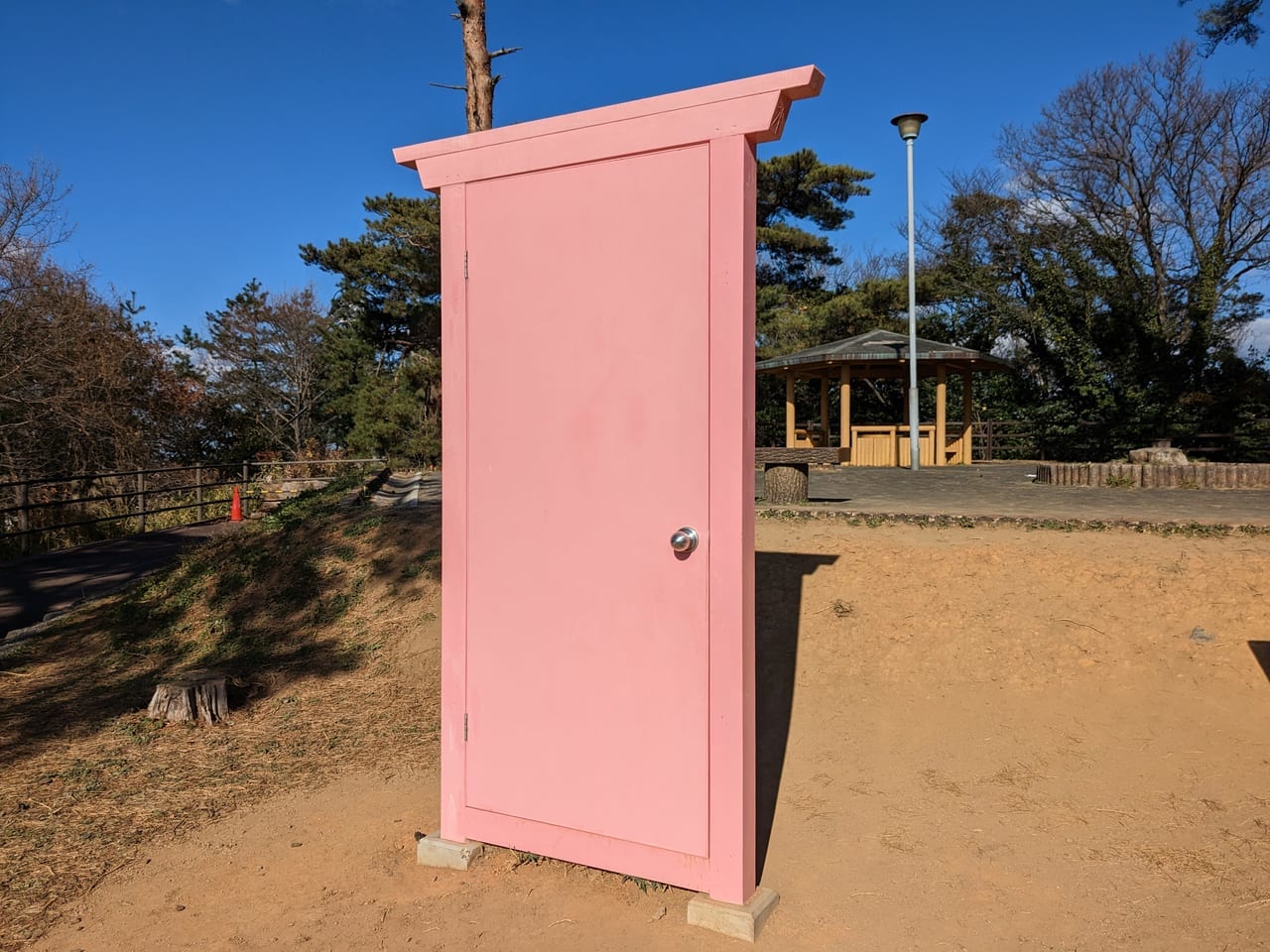 ピンクのドア